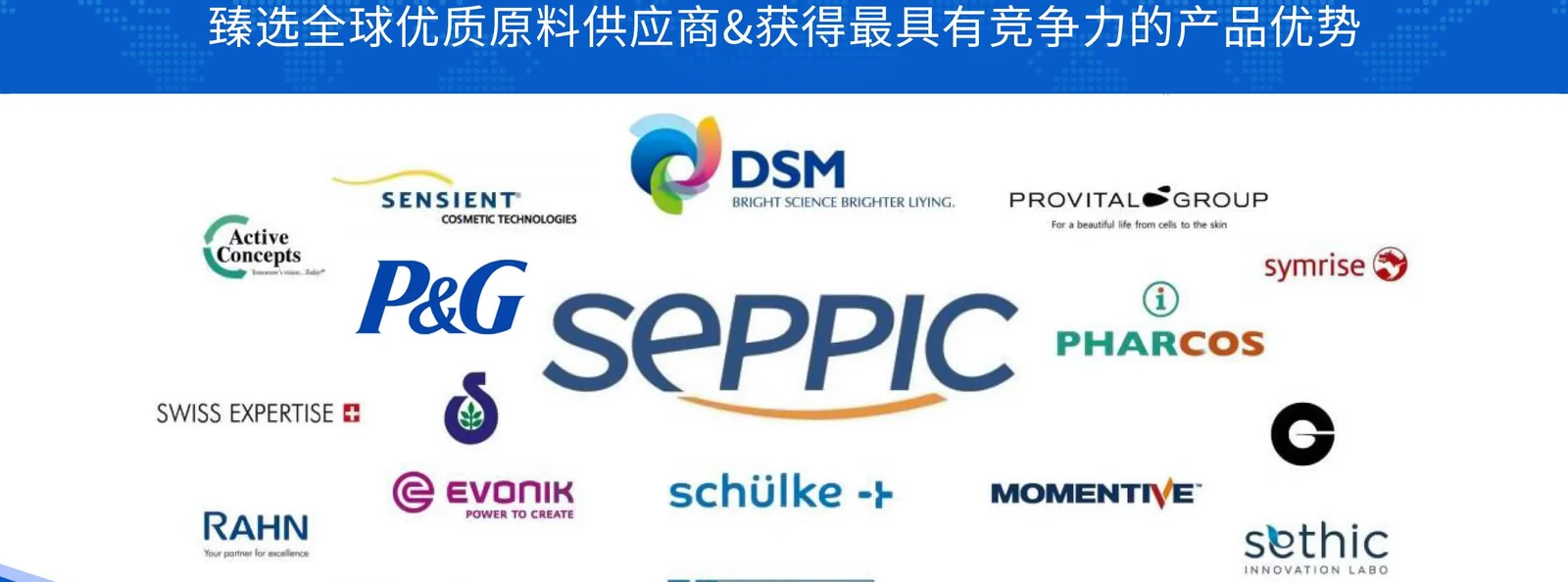 Supplier resources including P&G, SEPPIC, and DSM
